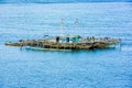 Pearl farm, floating on Pacific Ocean, Indonesia