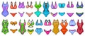 Swimsuit vector color set icon. Vector illustration swimwear on white background. Isolated color set icon swimsuit Royalty Free Stock Photo