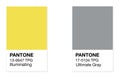 SWINDON UK - DECEMBER 20 2020: Pantone Illuminating Yellow and Ultimate Gray Trending Colours of the Year 2021. Color swatches Royalty Free Stock Photo