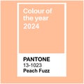 Pantone Peach Fuzz Trending Color of the Year 2024