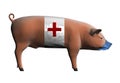 Swine flu