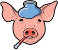 Swine Flu