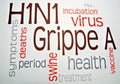 Swine flu H1N1 disease with virus Royalty Free Stock Photo