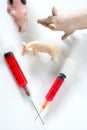Swine flu A H1N1 vaccine metaphor Royalty Free Stock Photo