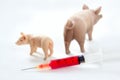 Swine flu A H1N1 vaccine metaphor Royalty Free Stock Photo