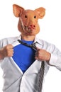 Swine Flu metaphor Royalty Free Stock Photo