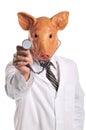 Swine Flu metaphor Royalty Free Stock Photo