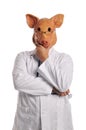 Swine Flu metaphor Royalty Free Stock Photo