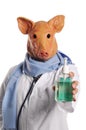 Swine Flu metaphor Royalty Free Stock Photo