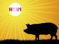 Swine flu virus Royalty Free Stock Photo