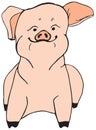 Swine Oink Royalty Free Stock Photo