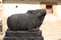 Swine stone statue seen in profile against soft pink background in Kathmandu