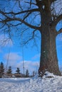 swing abandoned during winter beautiful cloud and sky