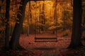 Swing Amidst Lush Forest, A tree swing for two in a secluded forest during fall season, AI Generated