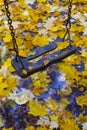 Swing in autumn leaves Royalty Free Stock Photo