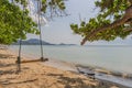 Swing on the beach Samui Thailand Royalty Free Stock Photo