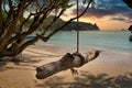 Swing in beautiful sunset at bay beach on island koh tao thailand Royalty Free Stock Photo