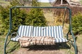 Swing bench in lush garden. Curved swing bench hanging from the bough of a tree in a lush garden with woodland backdrop Royalty Free Stock Photo