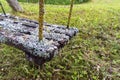 The swing board is overgrown with moss on the background of green grass