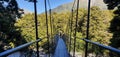 Swing bridge at Blue Pools track, Makarora River, New Zealand`s South Island