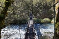 Swing bridge, Hopeless Creek, Nelson Lakes National Park, New Zealand Royalty Free Stock Photo