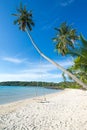 Swing on the cocomu tree at beach Royalty Free Stock Photo