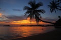 Swing or cradle hang on coconut tree shadow beautiful sunset at koh Mak Island beach Trad Thailand Royalty Free Stock Photo