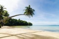 Swing hang from coconut palm tree over beach sea in Phuket ,Thailand. Summer, Travel, Vacation and Holiday concept Royalty Free Stock Photo