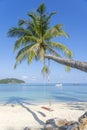 Swing hang from coconut palm tree over sand beach near blue sea water in Thailand. Summer, travel, vacation and holiday concept Royalty Free Stock Photo