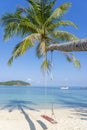 Swing hang from coconut palm tree over sand beach near blue sea water in Thailand. Summer, travel, vacation and holiday concept Royalty Free Stock Photo