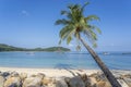 Swing hang from coconut palm tree over sand beach near blue sea water in Thailand. Summer, travel, vacation and holiday concept Royalty Free Stock Photo