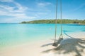 Swing hang from coconut tree over beach