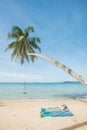 Swing hang from coconut tree over beach sea. Phuket,Thailand