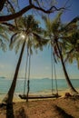 Swing hang from coconut tree over beach. Vacation concept