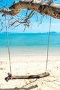 Swing hang from tree over beach sea