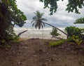 Swing hanging from palm on a jungle beach in Costa Rica