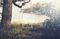 A home made swing hanging from a tree next to a lake Royalty Free Stock Photo