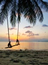 A swing hangs on a palm tree on a tropical sandy beach by the ocean. Sunset on the beach Royalty Free Stock Photo