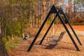 Swing and Muscovy duck in Piedmont park, Atlanta, USA Royalty Free Stock Photo