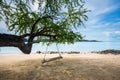 Swing rope hanging from the tree at the white beach Samaesan Island, Chonburi Province, Thailand. Royalty Free Stock Photo