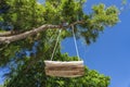 A swing on a rope hangs on a tropical tree on the beach of Zanzibar island, Tanzania, east Africa. Bottom view Royalty Free Stock Photo