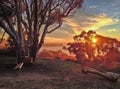 Swing set with a view of the ocean and colorful sunset Royalty Free Stock Photo