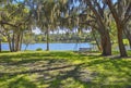 Lakeside Swing In A Shaded Park Under Oak Trees