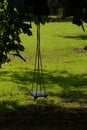 Swing Tied with Long Rope to a Horse Chestnut Tree.