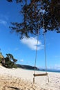 Swing from a tree along the beach Royalty Free Stock Photo