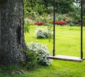 Swing under the oak tree in the garden Royalty Free Stock Photo