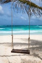 A swing under a palm tree in Mexico Royalty Free Stock Photo