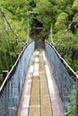 Swingbridge at Hokitika gorge