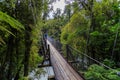 Hokitika Gorge swingbridge