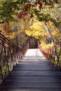 The Swinging Bridge Royalty Free Stock Photo